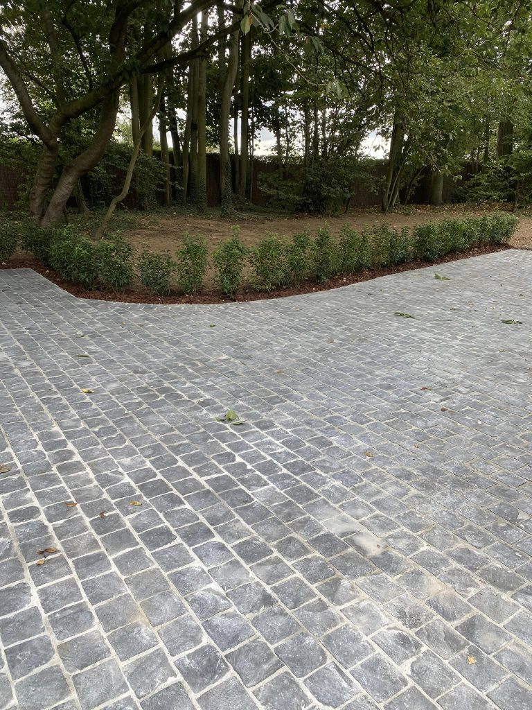 300669756_170196028906088_1764846783261105101_n