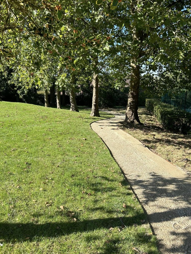 375812373_323658823559807_8195761191700091542_n